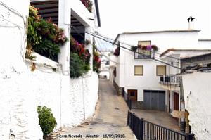 24 SIERRA NEVADA DE UGIJAR A TREVELEZ (65)
